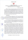 Vista preliminar de documento RD N°260-2024