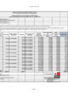 Vista preliminar de documento Informe Liquidatorio II