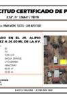 Vista preliminar de documento 162. IRMA MORE TOCTO