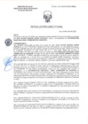 Vista preliminar de documento RD-2450-2025-DSAIA-DIRIS-LE-MINSA
