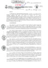 Vista preliminar de documento RD N° 294-2025-GRC/DIRESA/DG   