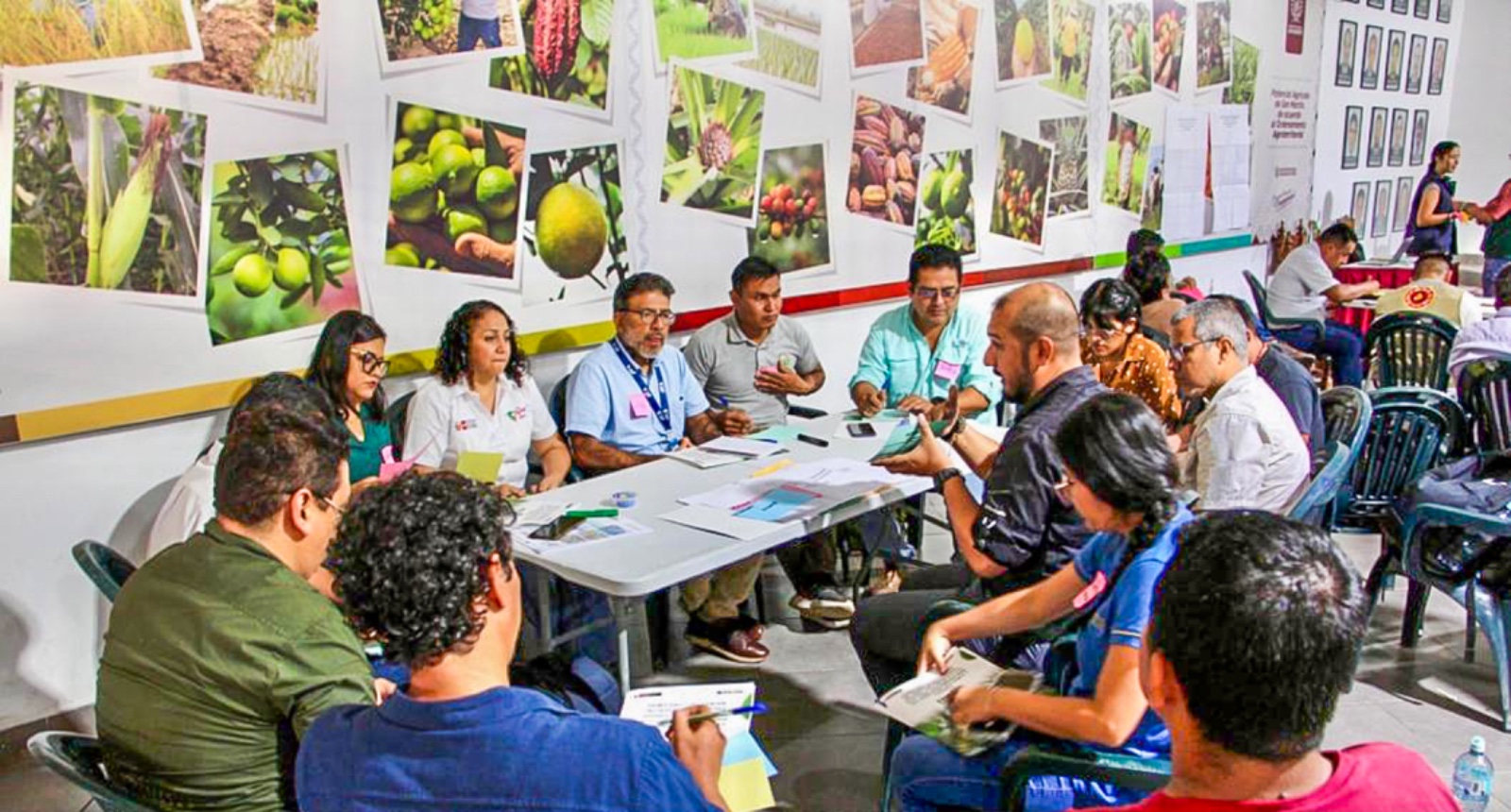San Martín: MIDAGRI presentó avances y acciones estratégicas para el cumplimento de la EUDR
