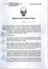 Vista preliminar de documento RD N°079-2025-SA-DG-INR