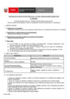 Vista preliminar de documento Perfil Convocatoria 054-2025 Practica Profesional