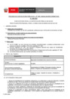 Vista preliminar de documento Perfil Convocatoria 055-2025 Practica Profesional