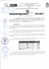 Vista preliminar de documento R.D N° 1002-2025