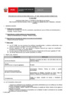 Vista preliminar de documento Perfil Convocatoria 061-2025 Practica Preprofesional