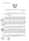 Vista preliminar de documento Resolución Jefatural Nº 119-2025-INEI