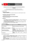 Vista preliminar de documento Perfil Convocatoria 063-2025 Practica Profesional