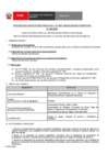 Vista preliminar de documento Perfil Convocatoria 064-2025 Practica Profesional