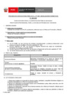 Vista preliminar de documento Perfil Convocatoria 065-2025 Practica Profesional