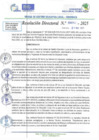Vista preliminar de documento RD N 00654