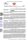 Vista preliminar de documento Resolucion Directoral N° 003357-2025