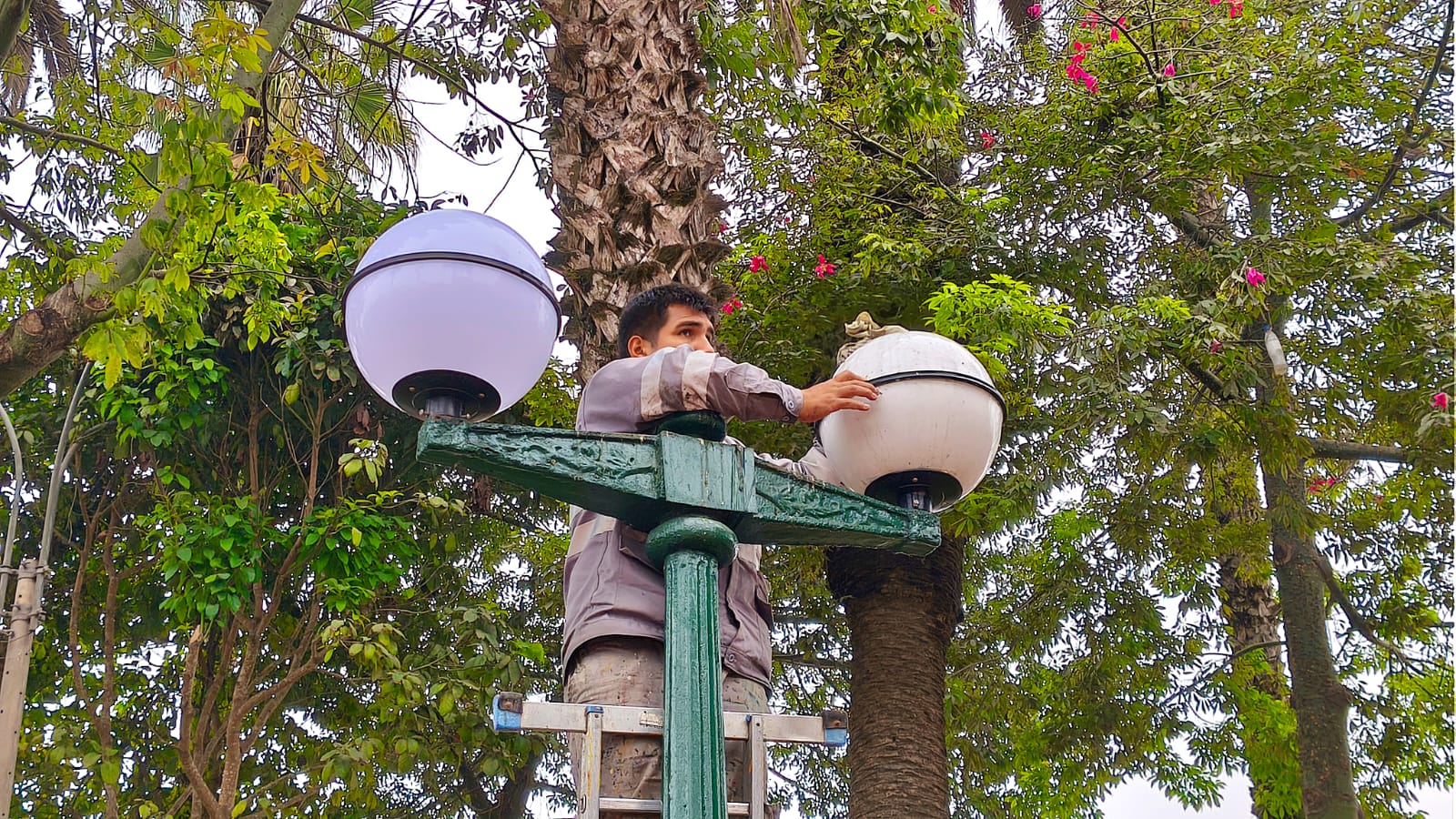 Trabajos de mantenimiento en Parque Antonio Raimondi
