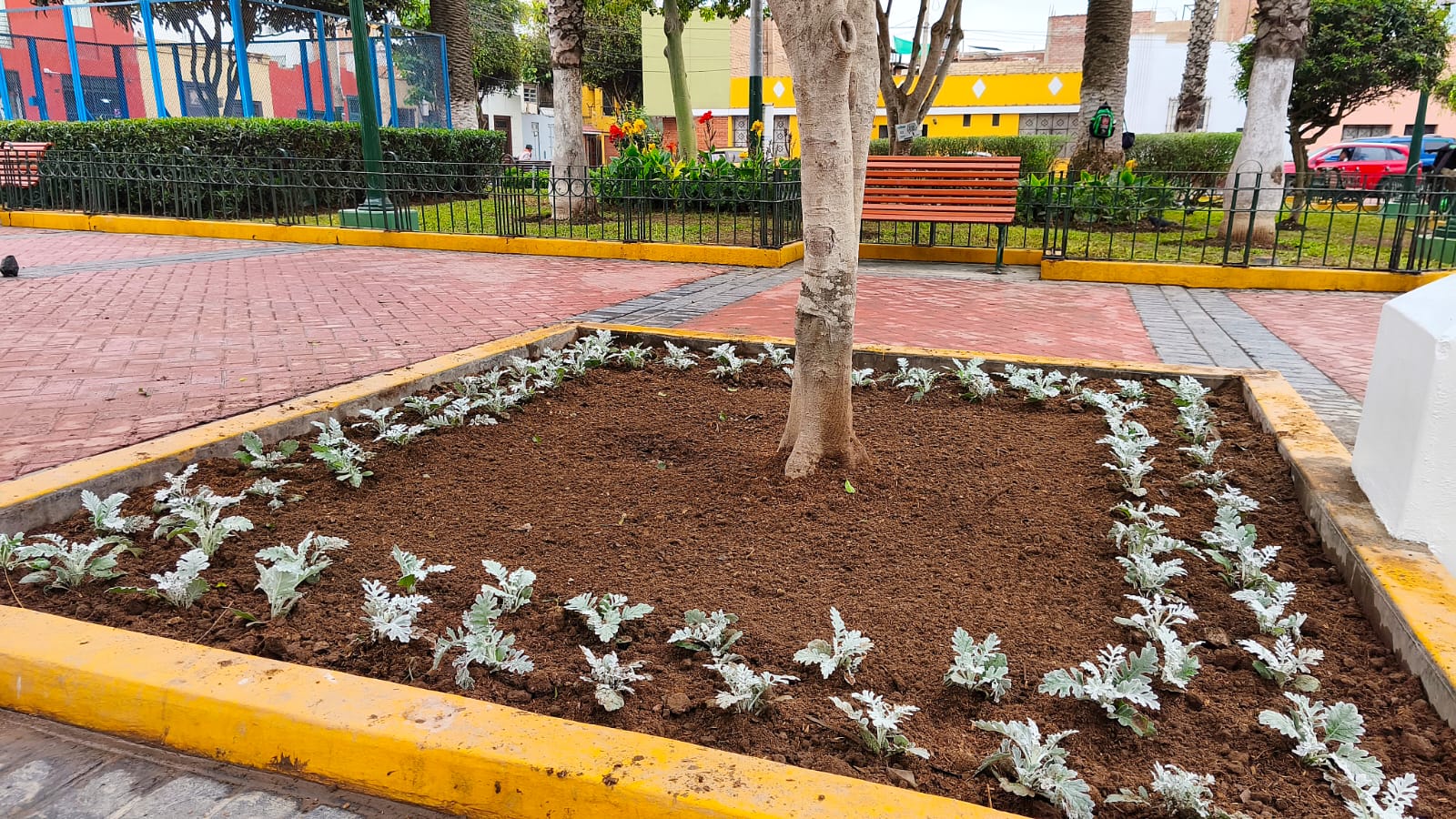 Trabajos de mantenimiento en Parque Antonio Raimondi