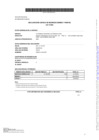Vista preliminar de documento DDJJ2025- BASTIDAS SOLIS ANGEL AUGUSTO- PER