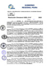 Vista preliminar de documento Resolucion Directoral N° 003358-2025