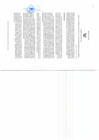 Vista preliminar de documento Resolucion Gerencial Regional Nº519-2025