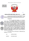 Vista preliminar de documento Resolucion Directoral N° 003369-2025