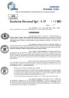 Vista preliminar de documento Resolucion Directoral N° 003370-2025