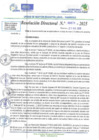 Vista preliminar de documento RD N 00678
