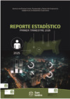 Vista preliminar de documento Reporte Estadístico I Trimestre 2025