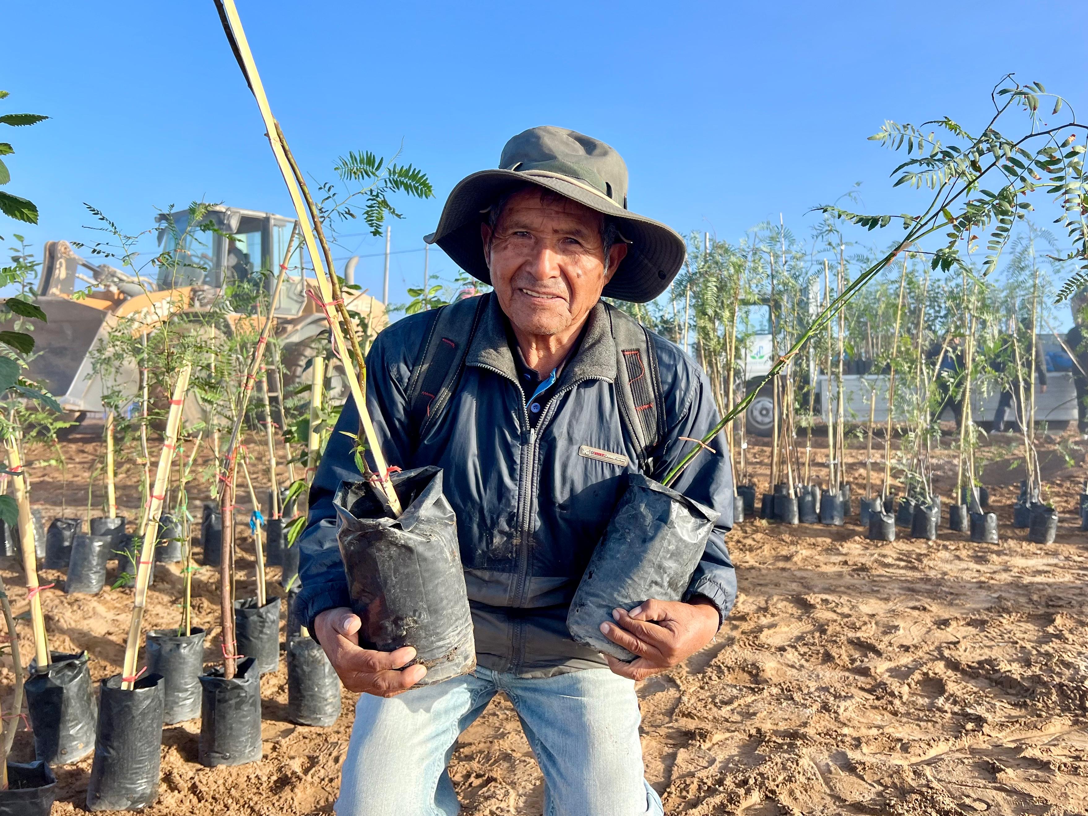 Plantan primeros árboles del futuro mirador ecológico para Ciudad Nueva