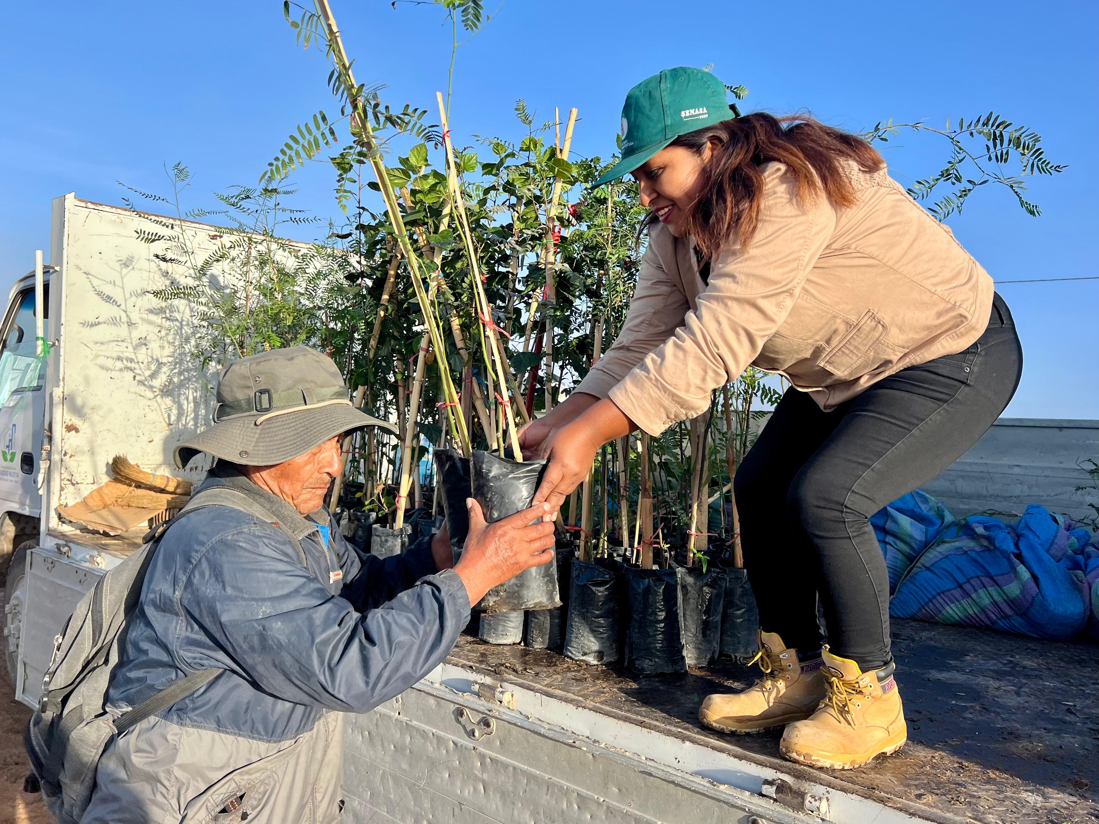 Plantan primeros árboles del futuro mirador ecológico para Ciudad Nueva