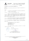 Vista preliminar de documento oficio multiple 335