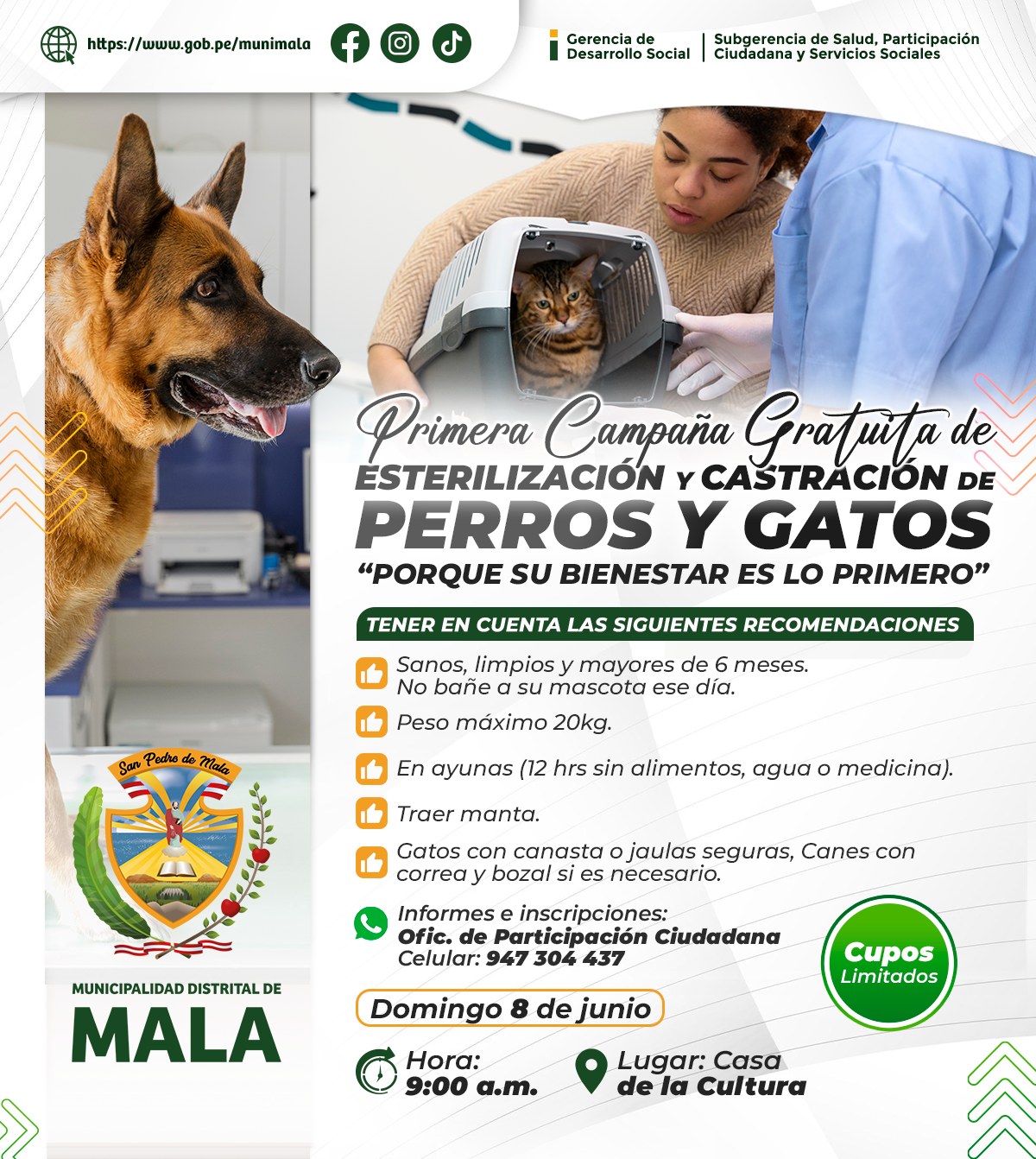 Primera Campaña Gratuita de Esterilización y Castración de Perros y Gatos