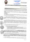Vista preliminar de documento RGA234-2025
