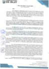 Vista preliminar de documento RG 060-2025-GM-MDI