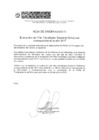 Vista preliminar de documento Hoja de Sinceramiento - Evaluación del PESEM - AF 2017