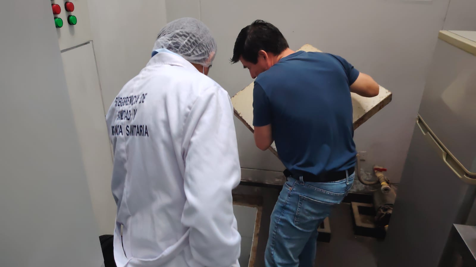 inspección sanitaria