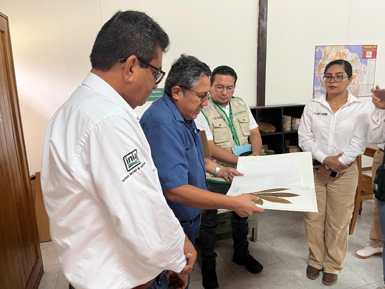 Archivo JPGE de la Alianza estratégica busca mejorar la identificación de especies maderables en la Amazonía peruana