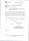 Vista preliminar de documento oficio multiple 336