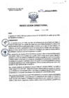 Vista preliminar de documento Resolucion Directoral N°276-2022-D-HH-MINSA. - Aprobar el Manual de Procesos y Procedimientos del Proceso Misional Nivel 1 PM01.05 Atencion de Hospitalizacion