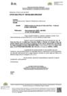 Vista preliminar de documento OFICIO MULTIPLE-000182-2025-DGP