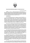 Vista preliminar de documento RSG-019-2025-SG