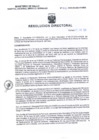 Vista preliminar de documento RD N°138-2025-SA-DG-HNSEB- INCLUSIÓN AL PETITORIO INSTITUCIONAL DE MEDICAMENTOS DEL HNSEB.