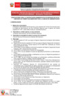 Vista preliminar de documento BASES PROCESO CAS 024-2025 (05/06/2025)