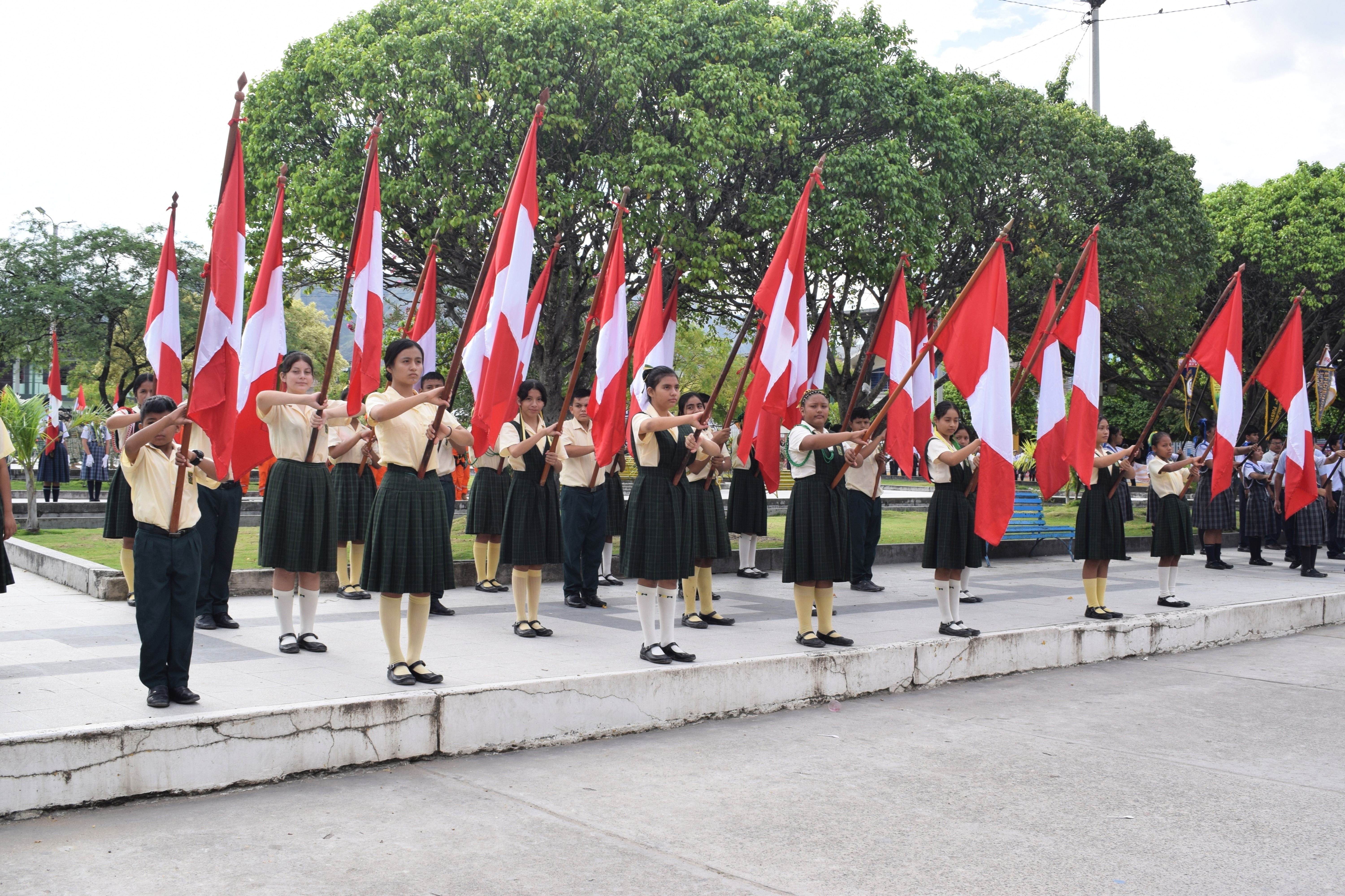 UGEL Bagua participa en ceremonia por el 145° Aniversario de la  Batalla de Arica y Renovación del Juramento de Fidelidad a la Bandera