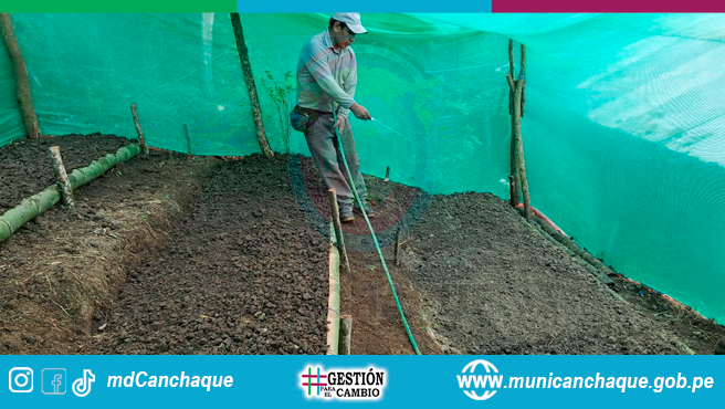 Agricultura sostenible