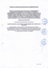 Vista preliminar de documento BASES DEL PROCESO DE SELECCION N°004-2025-GR CUSCO-CE-OXI_