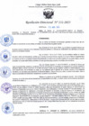 Vista preliminar de documento RD 131-2025-CMPRG