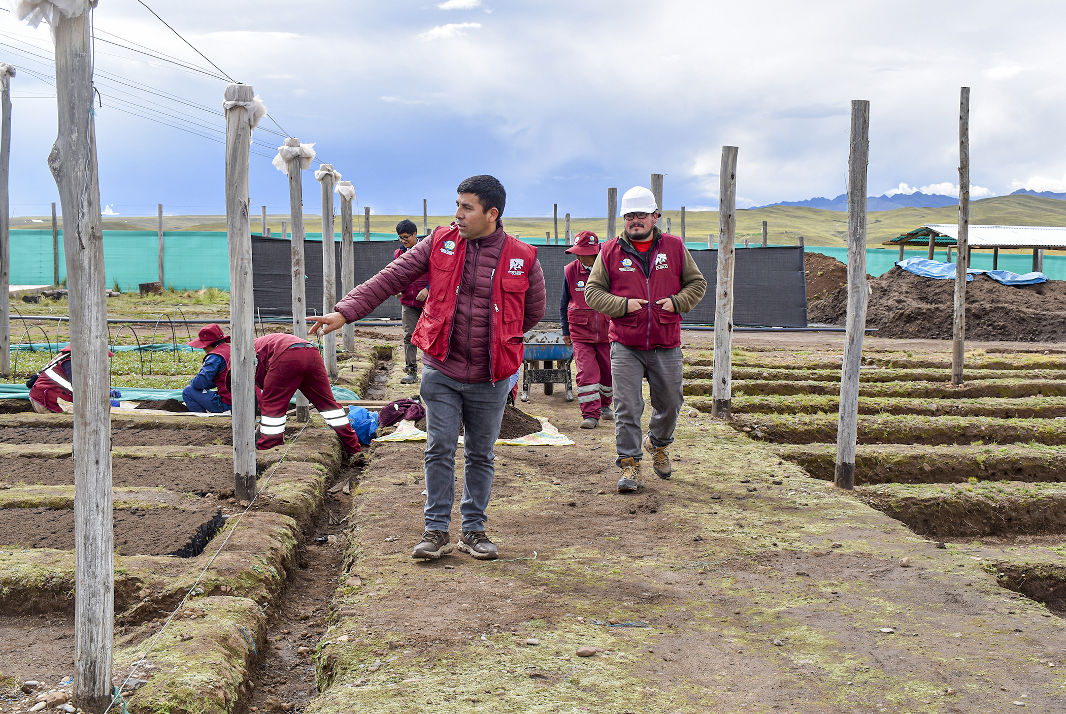 Ejemplo En El País: Cusco Fortalece Lucha Contra El Cambio Climático Con Plantación De 30 Millones De Especies Nativas Hasta El 2027