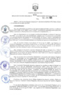 Vista preliminar de documento RER.335