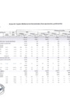 Vista preliminar de documento CMN_MDS2025