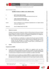 Vista preliminar de documento Informe Técnico N° 393-2025-SERVIR-GPGSC