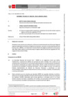 Vista preliminar de documento Informe Técnico N° 1295-2025-SERVIR-GPGSC